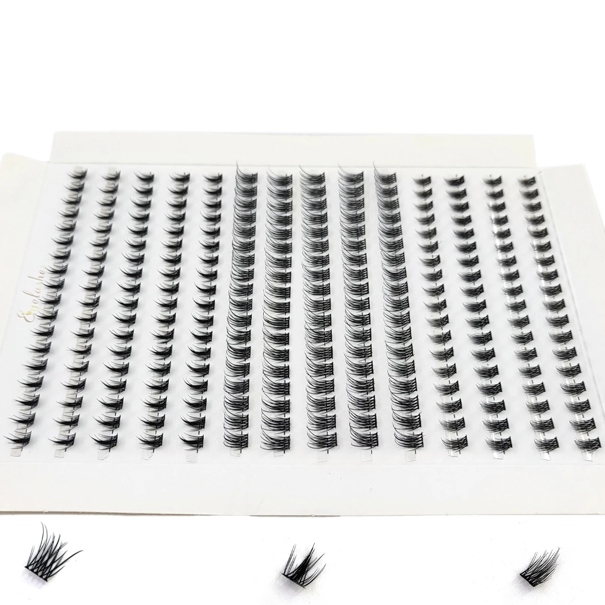 Anime Cosplay Lashes - AMSDCN 바텀&스파이키 래쉬 클러스터 볼륨 개별